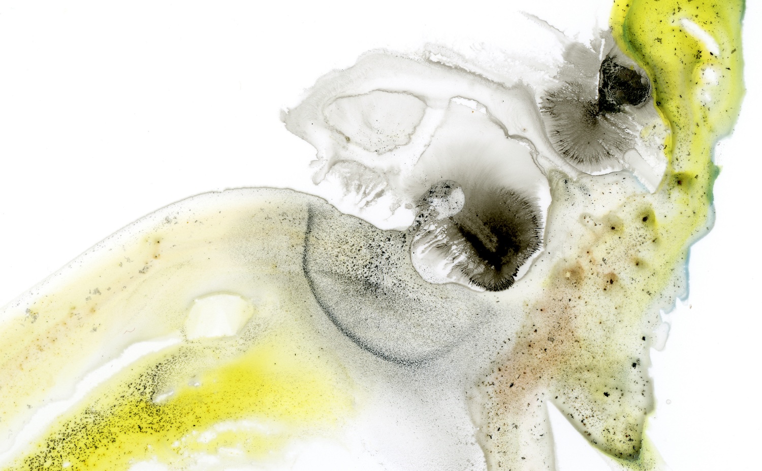 aquarelle (couverture du CD Infiltrations)